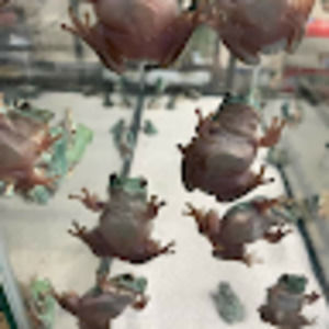 Meet your Posher, Liliana